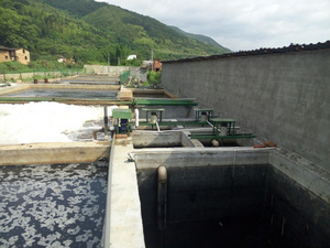 高鹽度食品污水處理系統